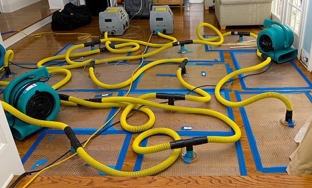 Professional Flood Damage Restoration technician working in Cottonwood, MN